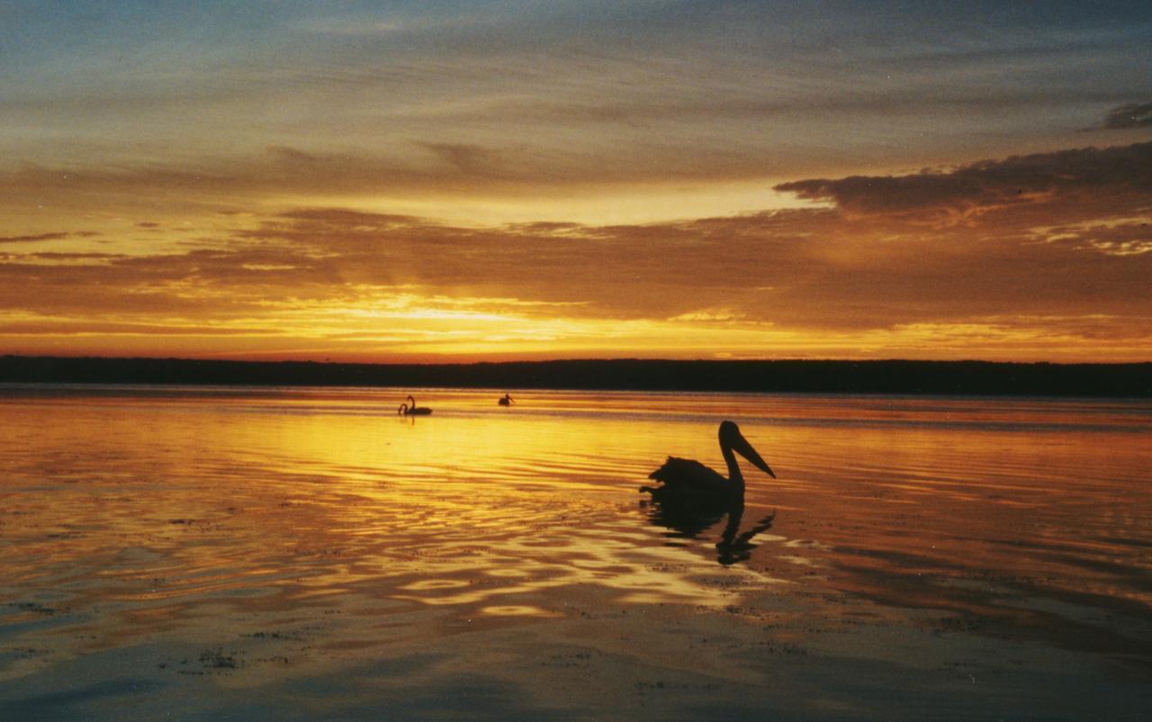 Sussex Shores Sussex Inlet Dış mekan fotoğraf